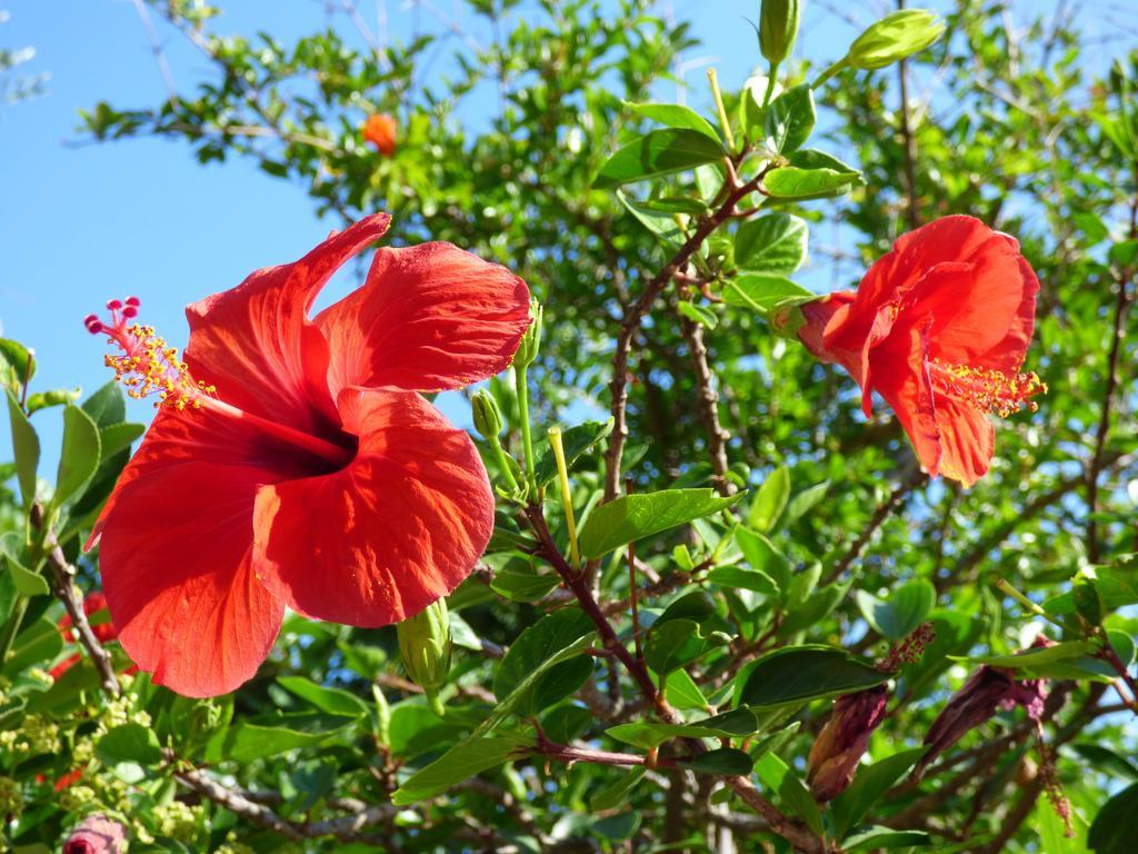 B&B Baia Turchese Порто-Оттиолу Экстерьер фото